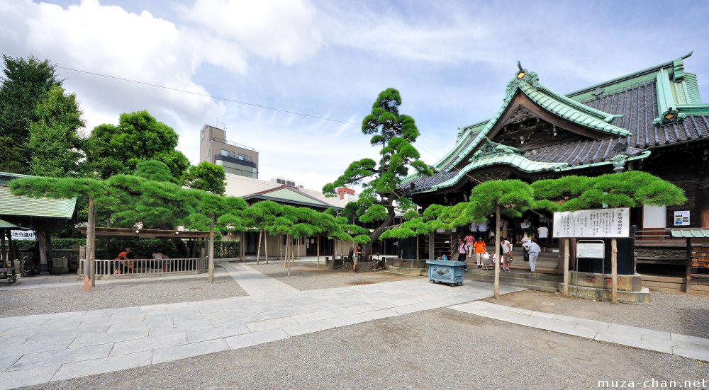 pine-shibamata-taishakuten-