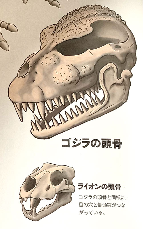 Godzilla's Skeleton – MyKaiju®