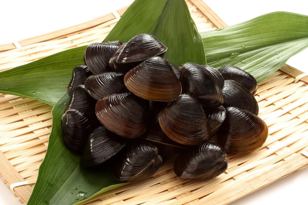 特産活しじみ（大） ｜有限会社内藤水産