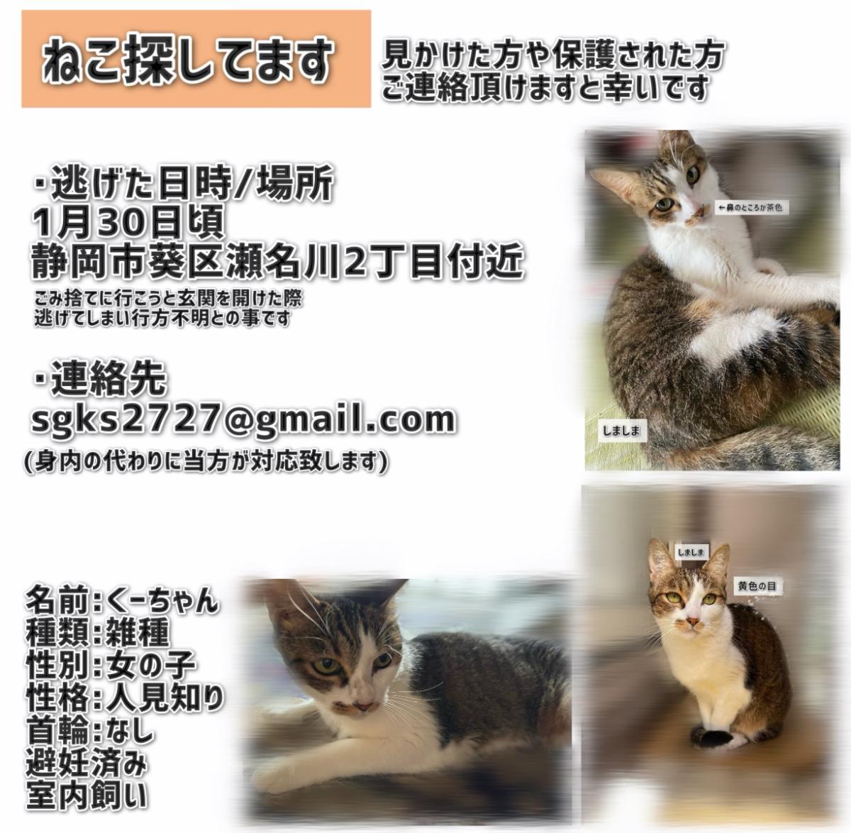 静岡県静岡市葵区瀬名川周辺で猫を探しています - ネコサーチ
