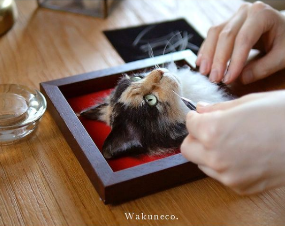リアルな肖像猫を額縁へ…羊毛作家が生み出すオーダーメイド作品「わく