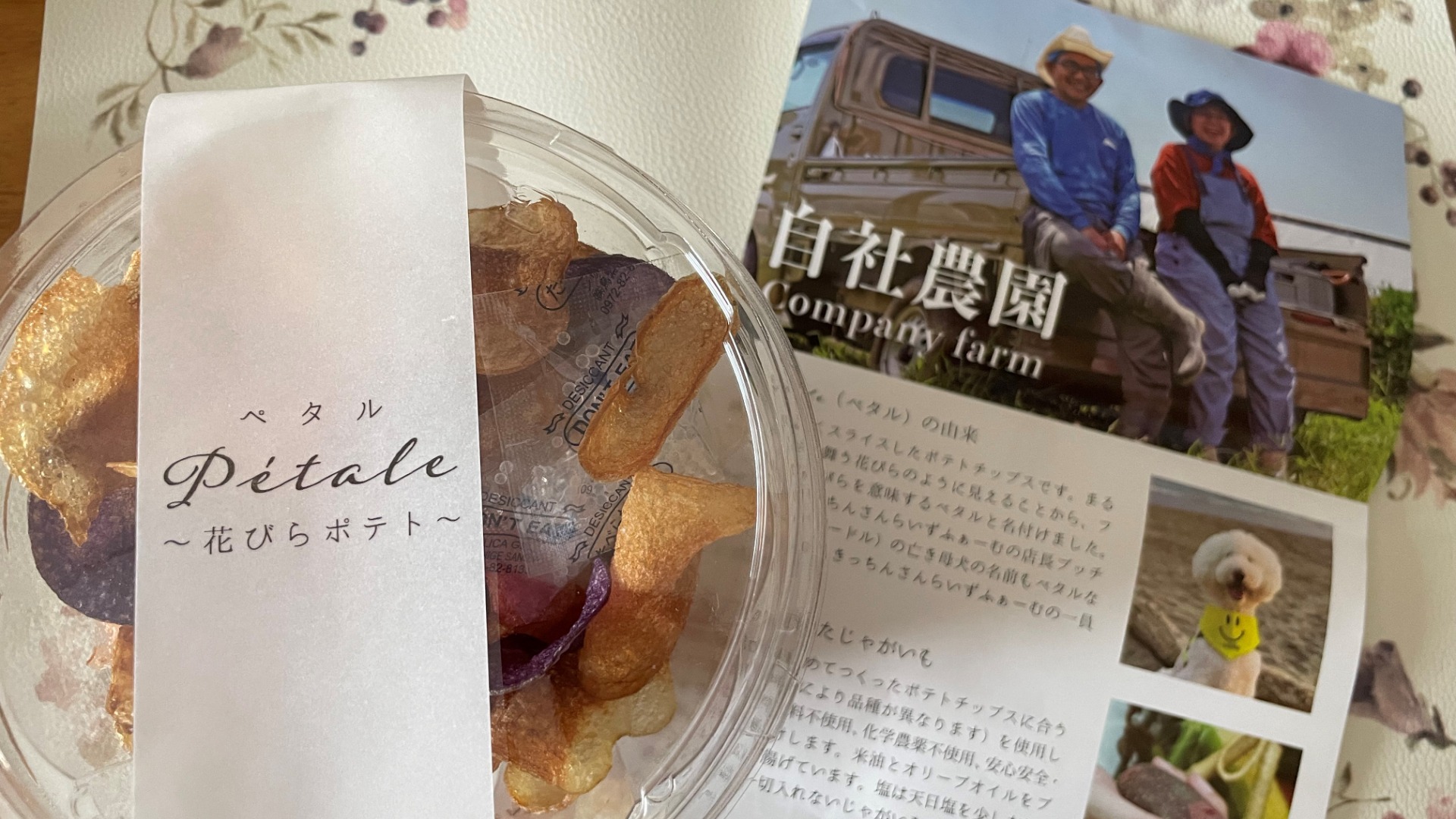 豊橋市】化学肥料・化学農薬不使用の自家栽培じゃがいもを使用した