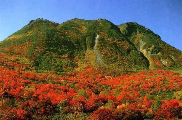 写真に撮りたい！北海道のおすすめ紅葉スポット10選｜ウォーカープラス