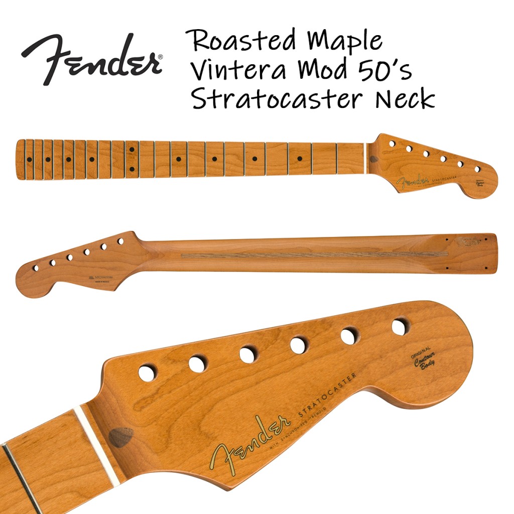 Fender公式販売のローステッドメイプルネックを解説！ | Next Lead