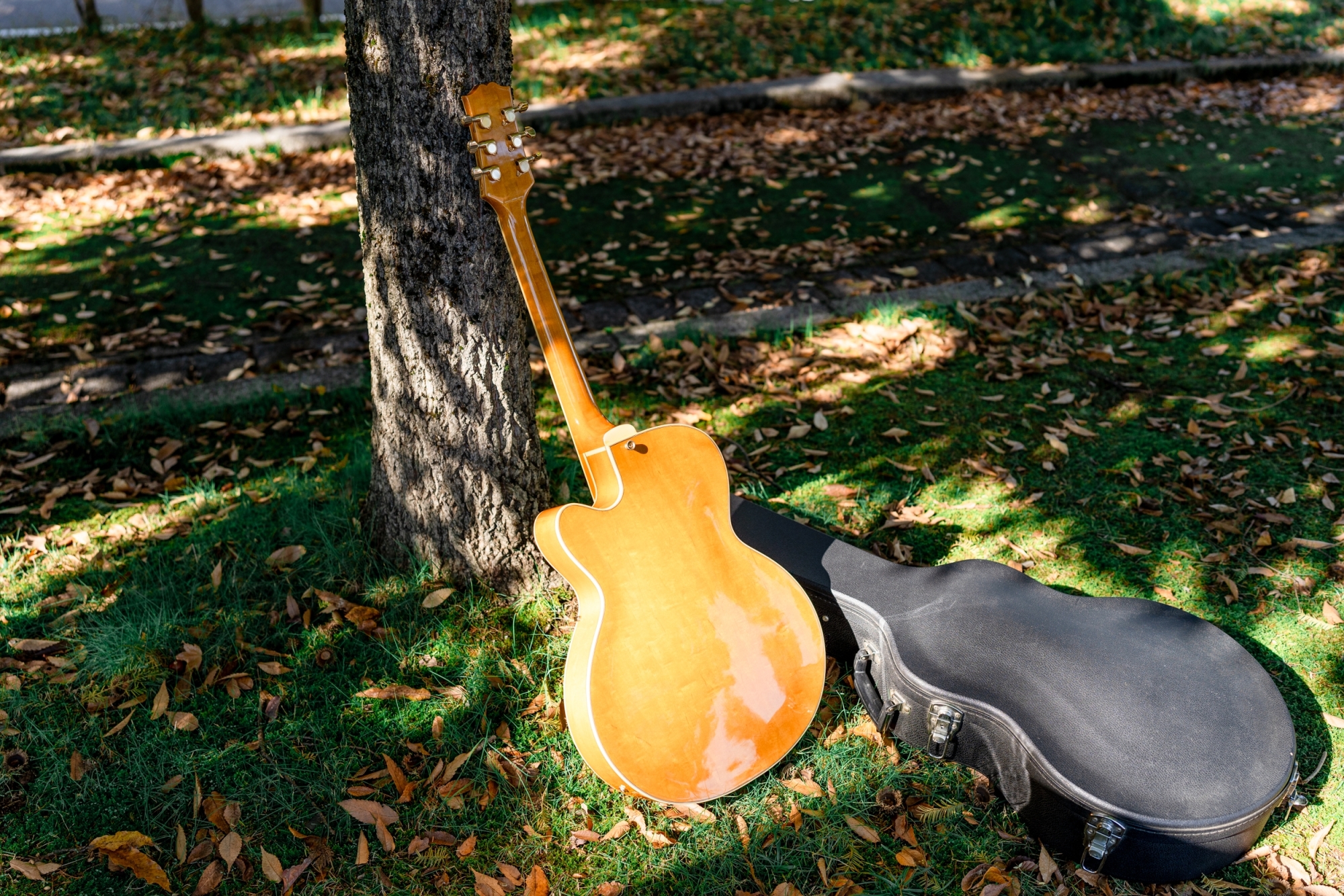 Epiphone NVJ-NT / Gibson | 売ります | 【血となり肉となるジャズ