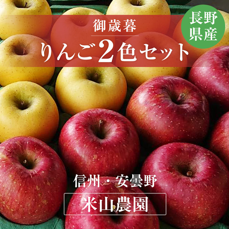 りんご 【信州安曇野 米山農園】 2色リンゴ ふじ ぐんま名月 2.8kg 10