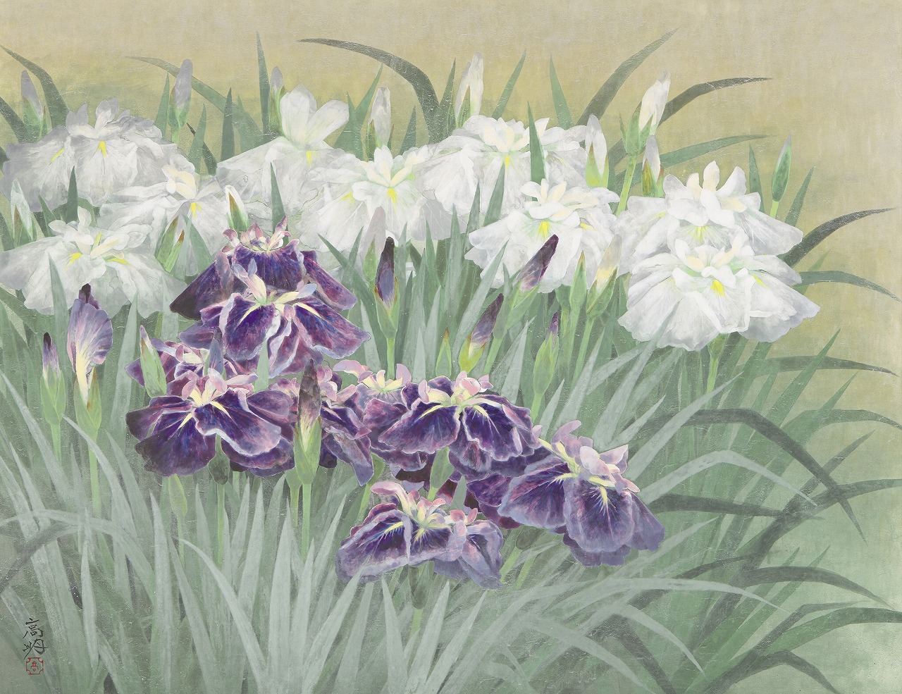 花菖蒲｜公益財団法人日本美術院