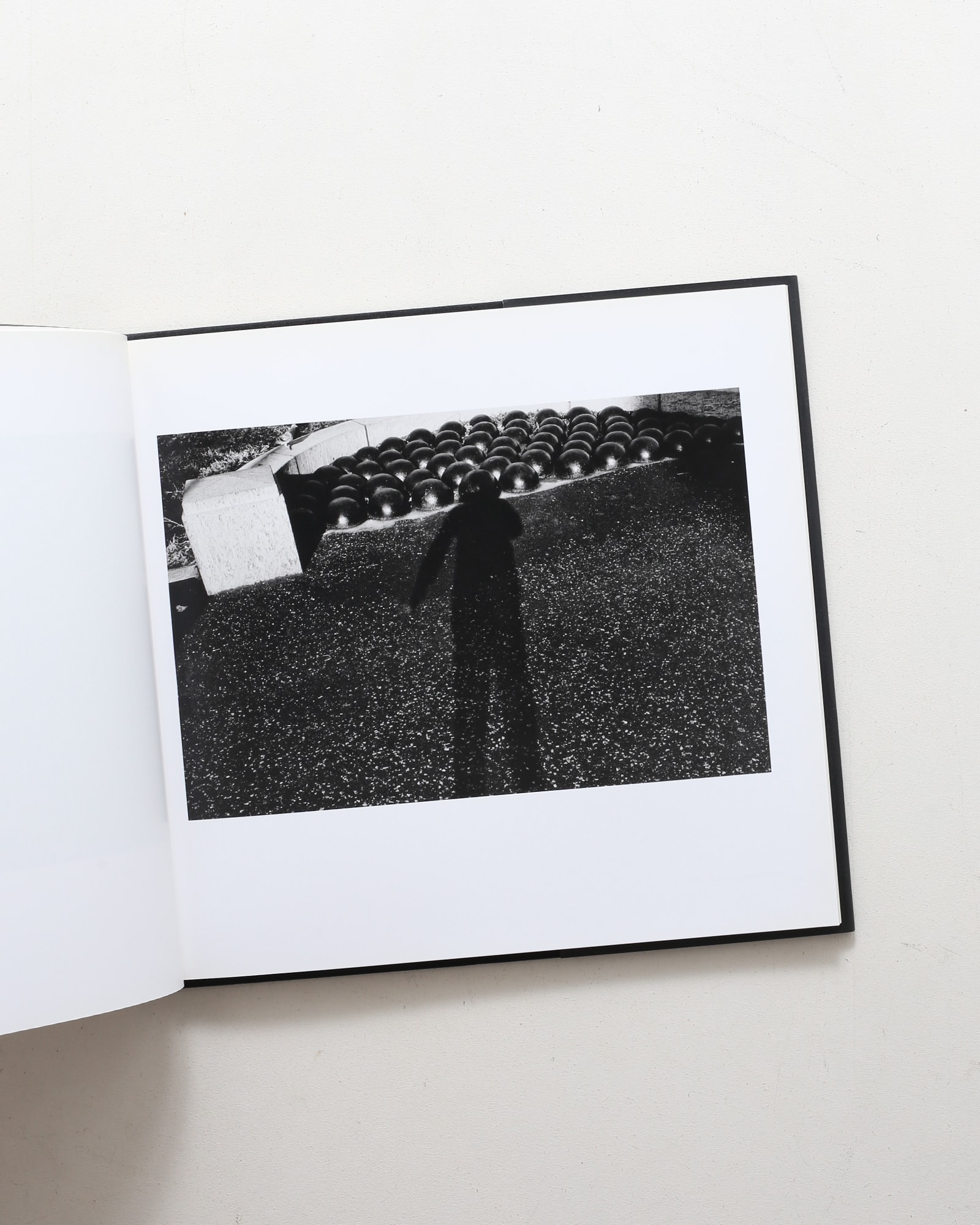 Self Portrait | Lee Friedlander | nostos books ノストスブックス