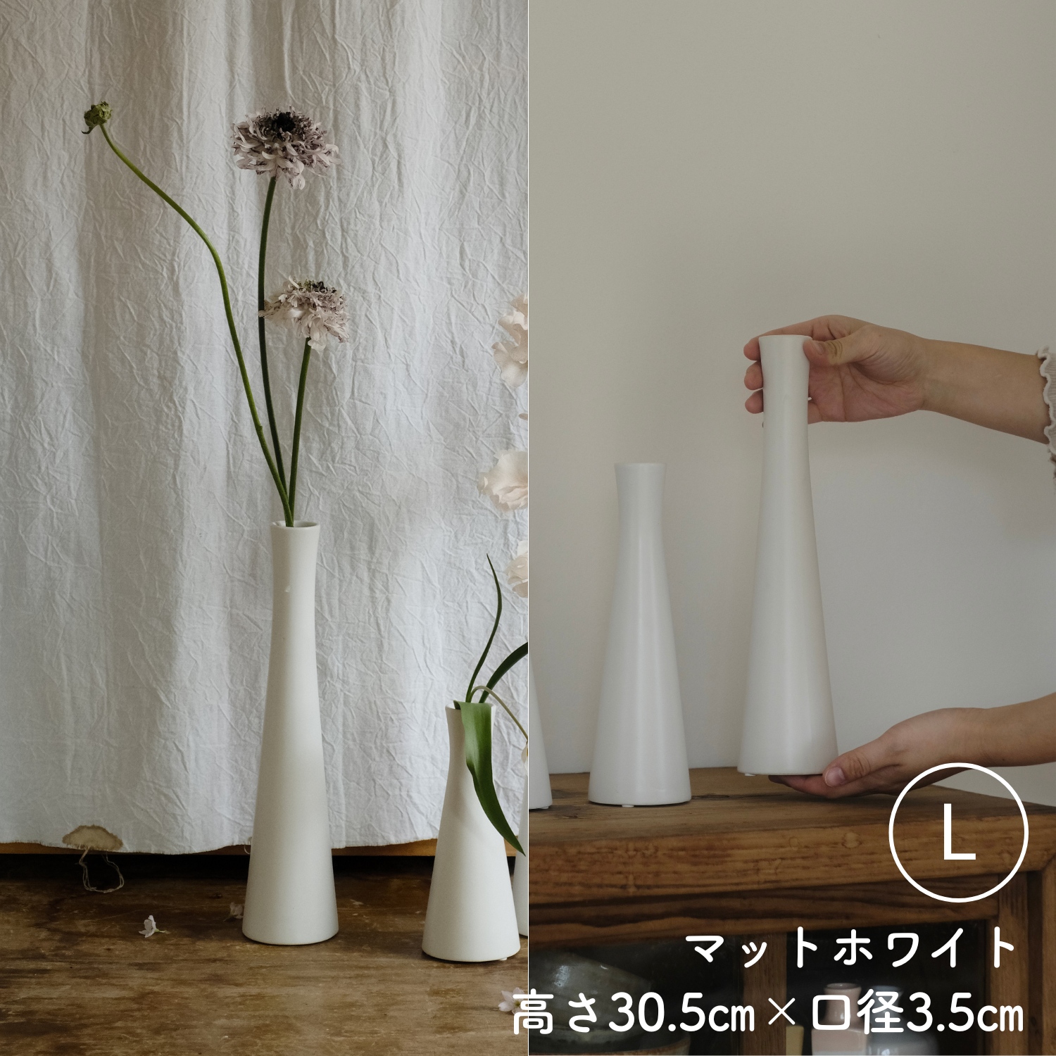 pp-0228-l-03.png?v=1743664289&