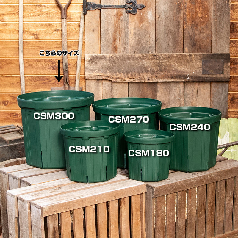 スリット鉢 CSM300 3個セット