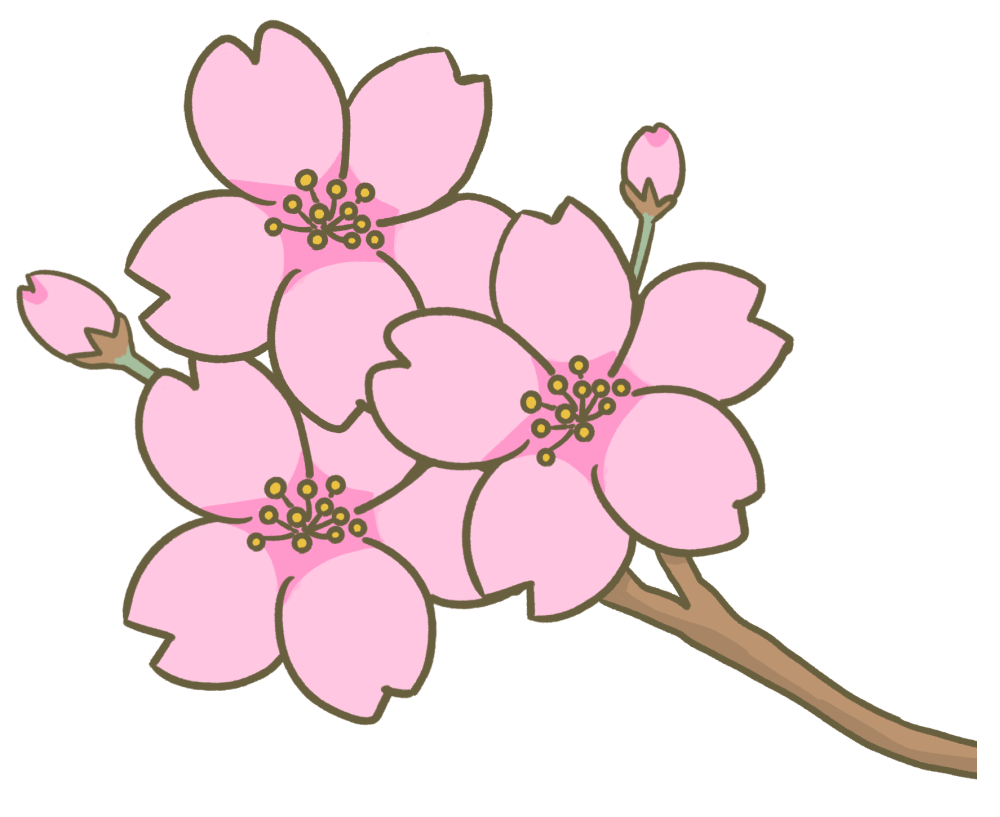 満開の桜とつぼみの枝のイラスト - ONWAイラスト