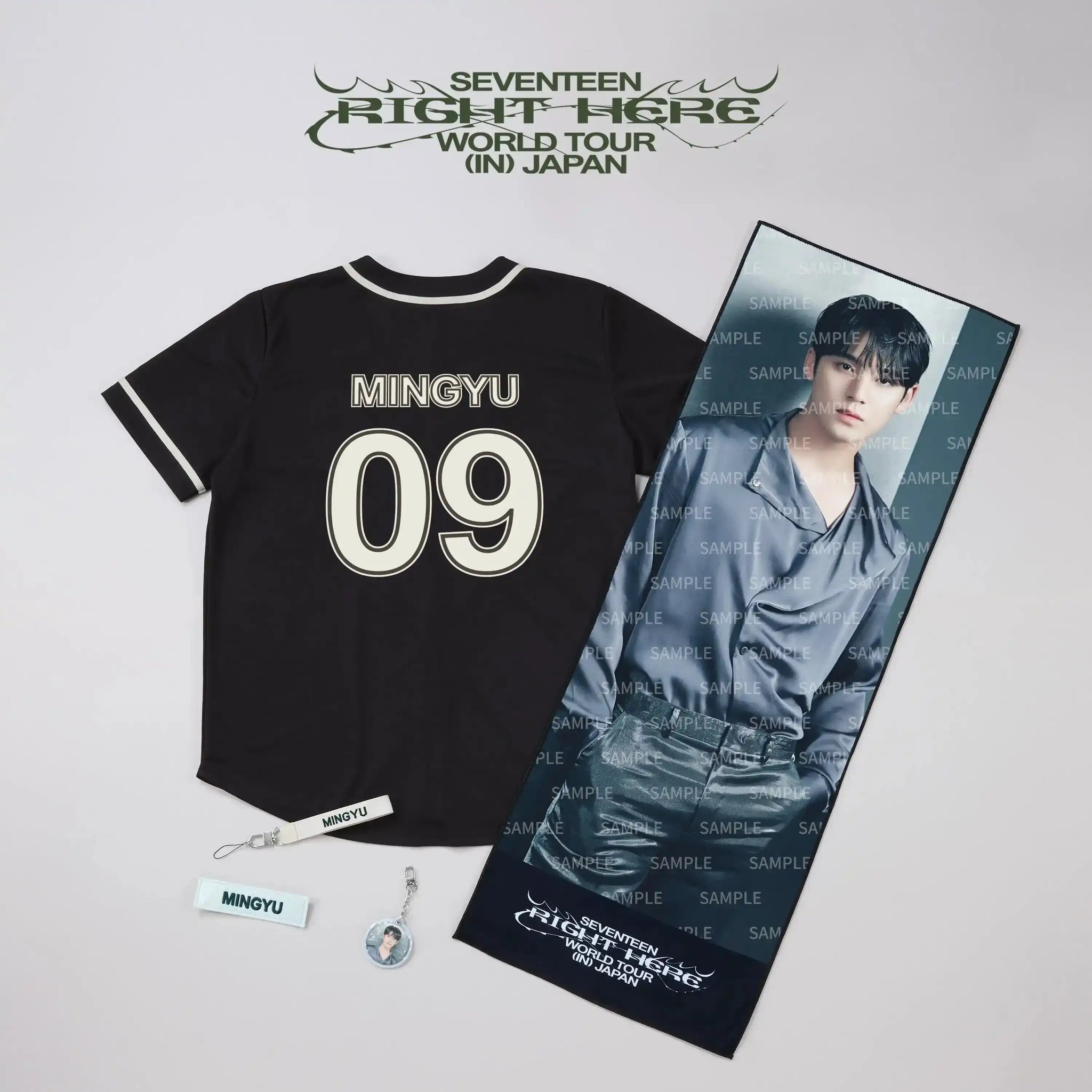 Buy SEVENTEEN [RIGHT HERE] World Tour In Japan Official MD Merch