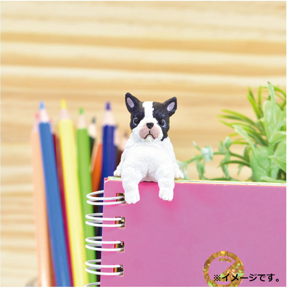 フィギュア ふちやすみ いろいろわんこ BOX 1個入 | 卸・仕入れサイト