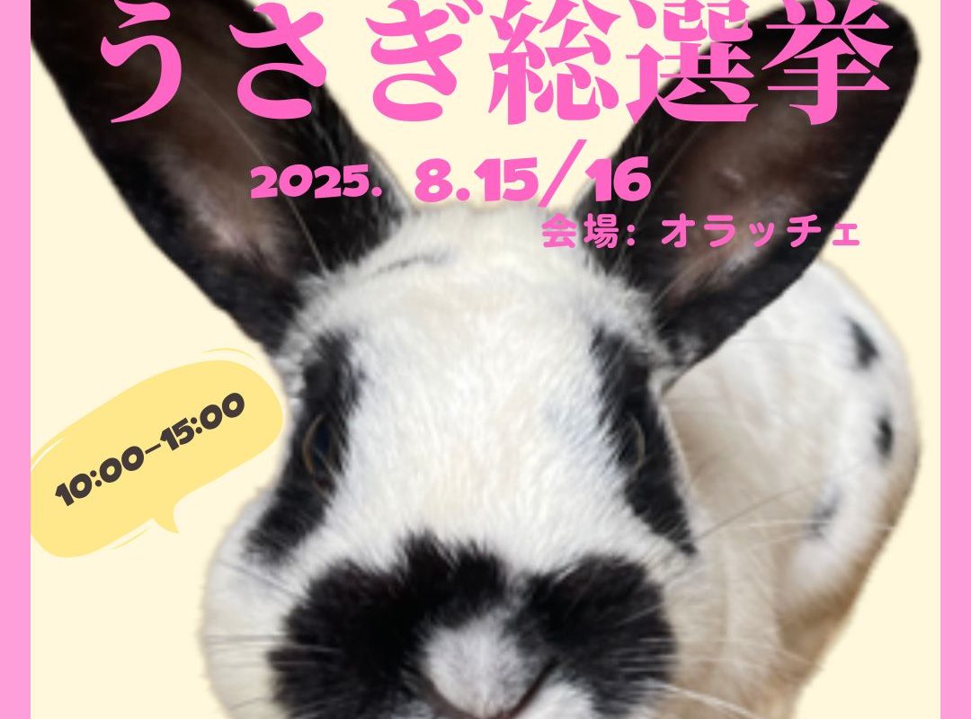 うさぎ総選挙 うさぎ48 | 酪農王国オラッチェ