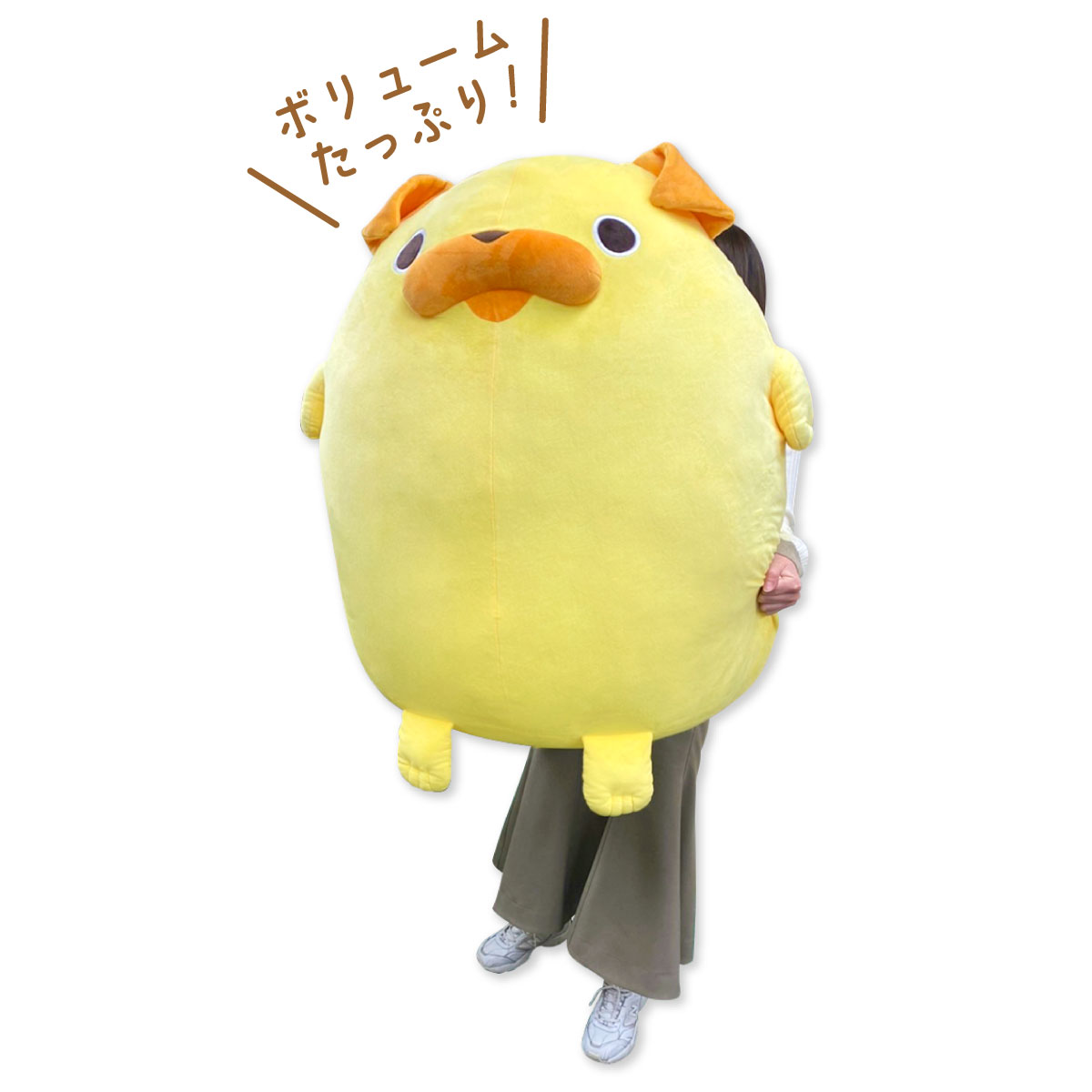 小路さん歓喜！『おじさんはカワイイものがお好き。』抱きしめずにはい