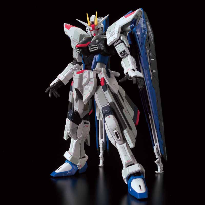 RG 1/144 THE GUNDAM BASE LIMITED ZGMF-X10A FREEDOM GUNDAM Ver.GCP
