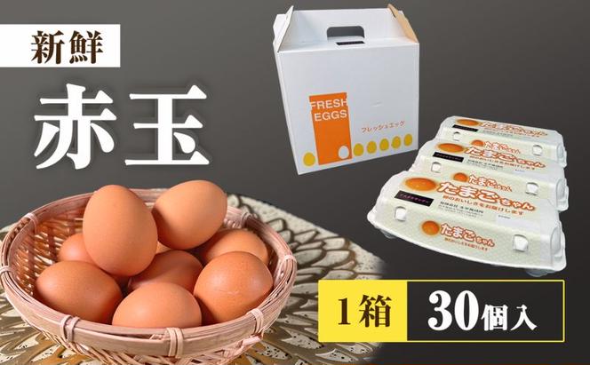 アスタキサンチンたまごちゃん 10個入り×3パック 卵 鶏卵