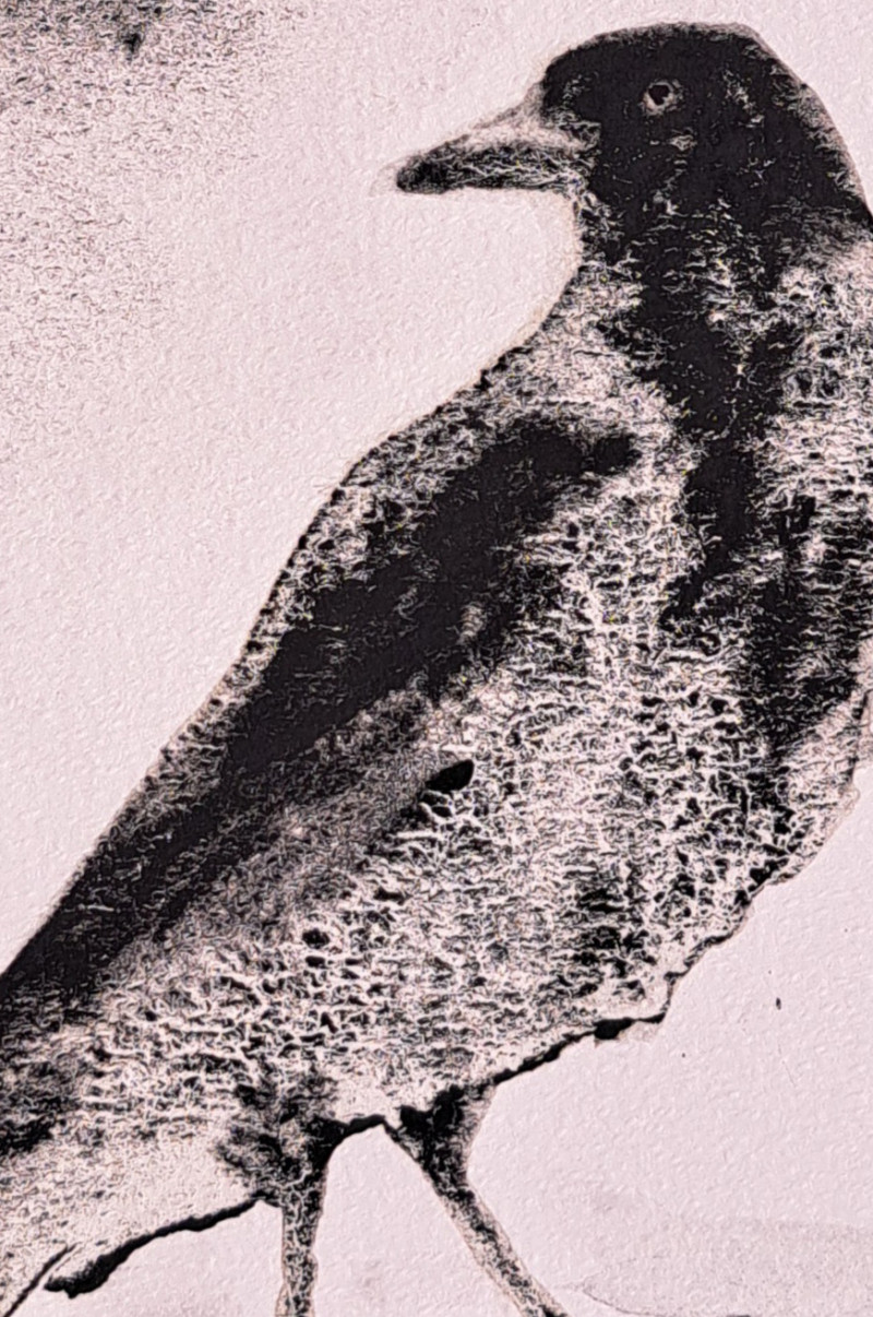 Dynamic Crow Art: Textured Minimalist Side-Profile Illustration