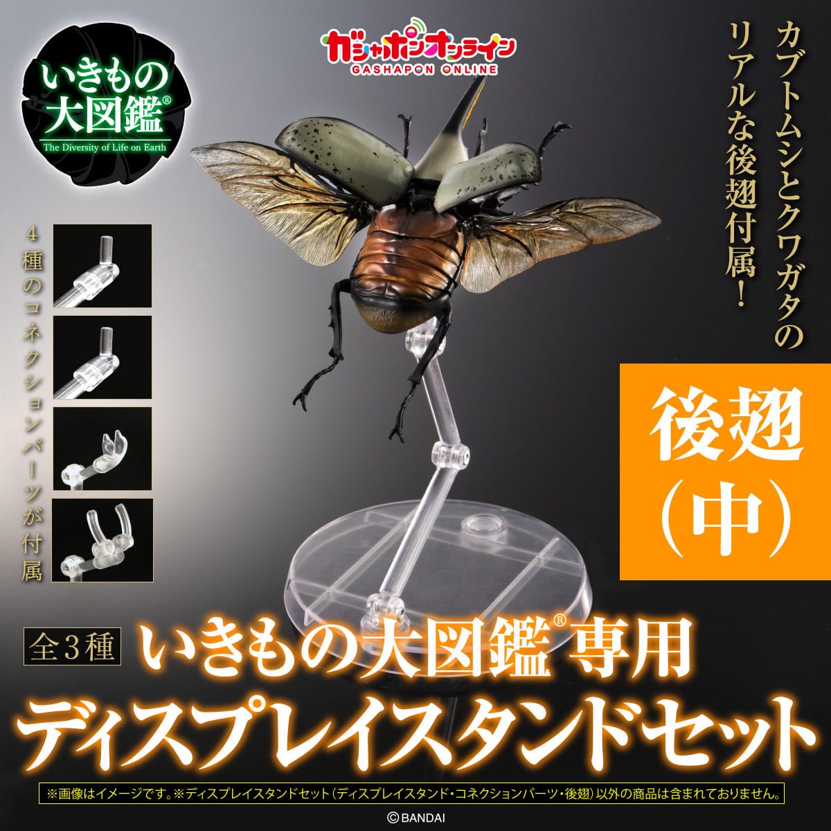 いきもの大図鑑専用 ディスプレイスタンド カブトムシとクワガタ用後翅