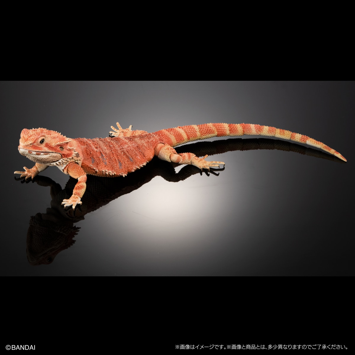 いきもの大図鑑プレミアム フトアゴヒゲトカゲ（レッド） | ナムコ