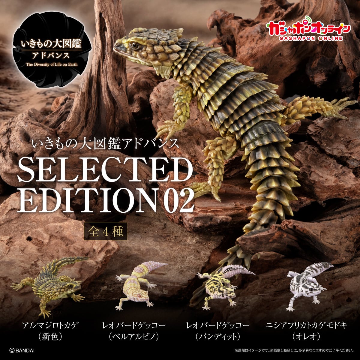 いきもの大図鑑アドバンス SELECTED EDITION 02 | ナムコパークス