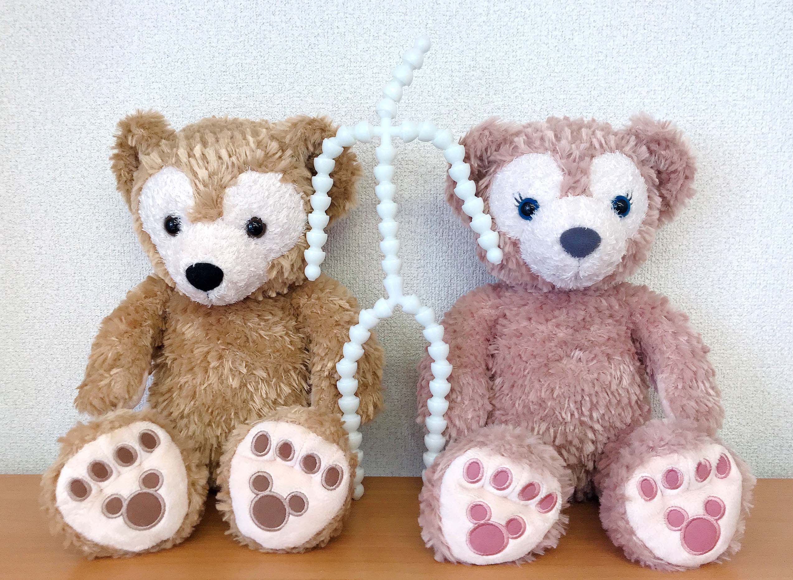 お客様のぬいぐるみにトイスケルトンを入れました！ – PARABOX 京都店