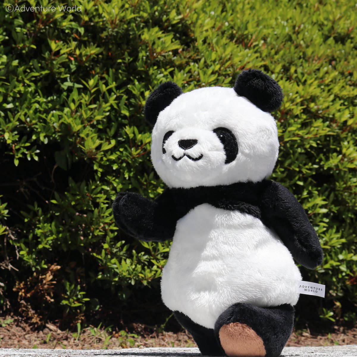 立てる座れるパンダのぬいぐるみ」が登場！手足も自由に動かせるので