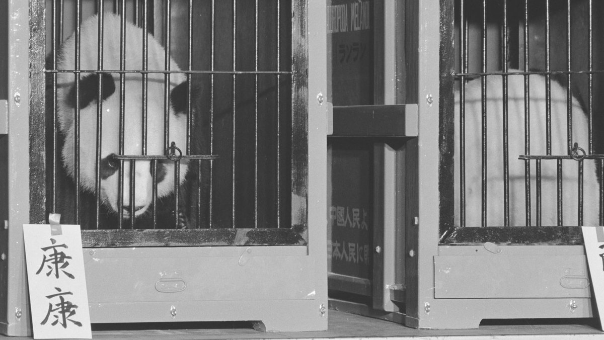 48年前の #今月の東京 1972年（昭和47年）10月28日、上野動物園に