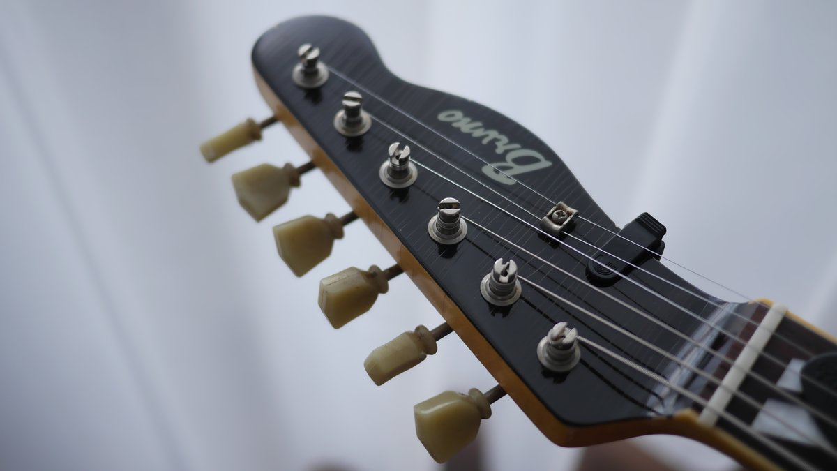 新しいギターを手に入れました】 Bruno Guitars TN-295 ・P90 ・シン