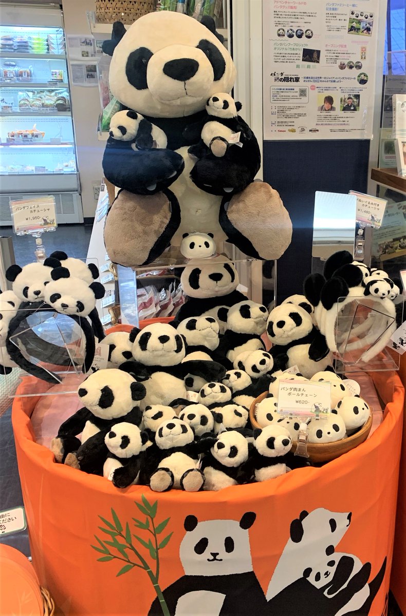 🐼アドベンチャーワールドのパンダグッズを今年も販売！🐼／ 8月1日～9