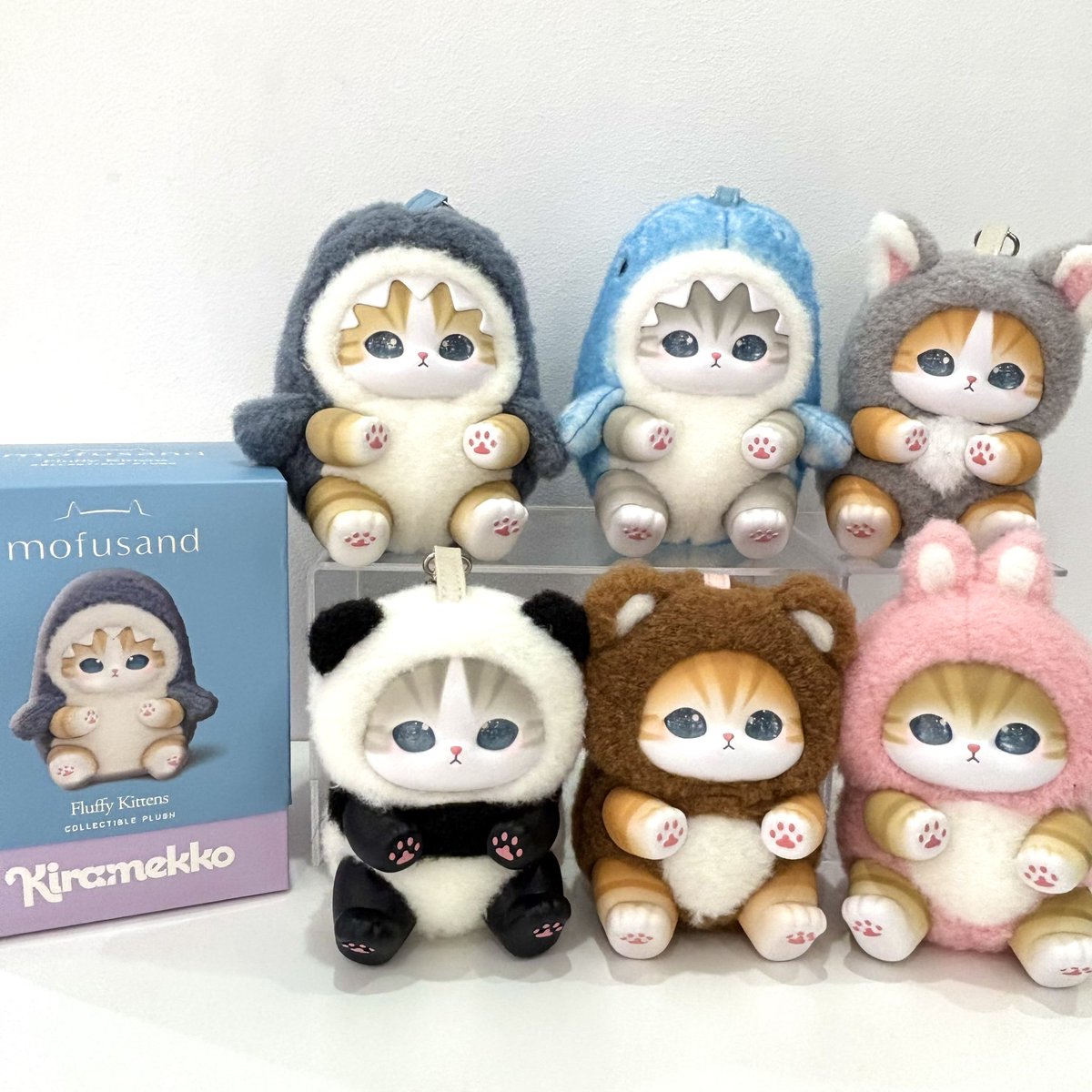 mofusandもふもふストア福岡PARCO ✉️ 再入荷のお知らせ