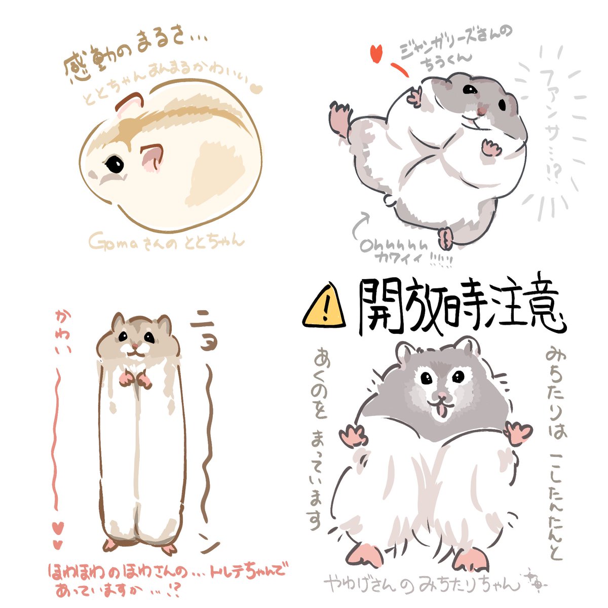 RT @wiz_madoushi: フォロワーさんのかわいいハムちゃんたち…勝手に