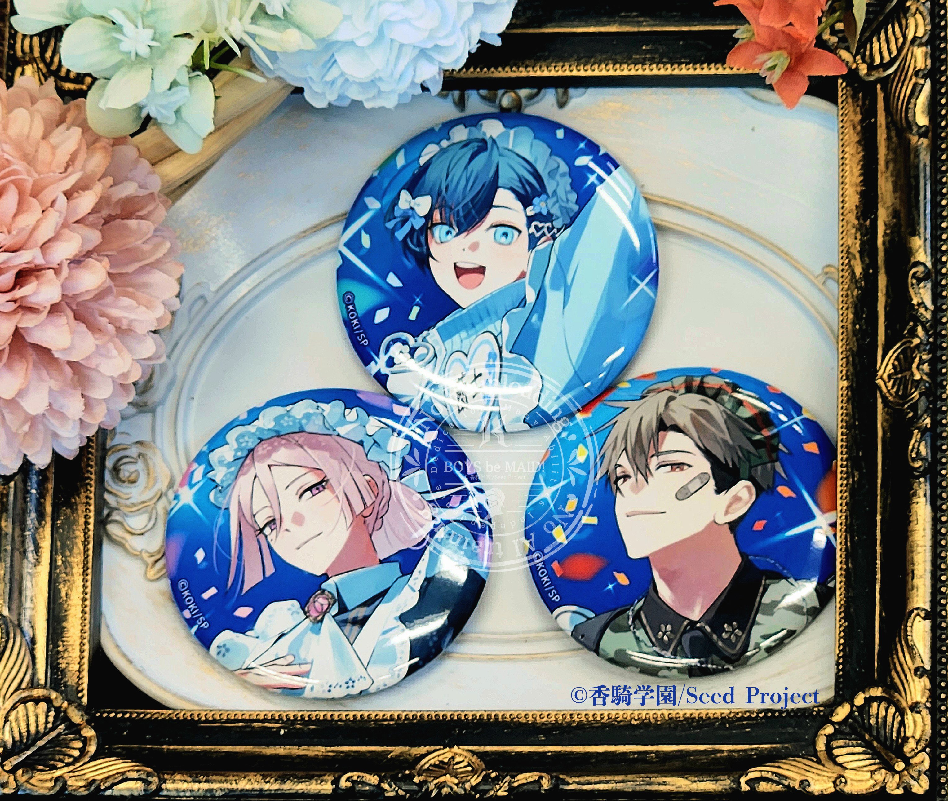 BOYS be MAID ビーメイ 缶バッジ 秘空木礼 16点 BOYS be MAID ビーメイ