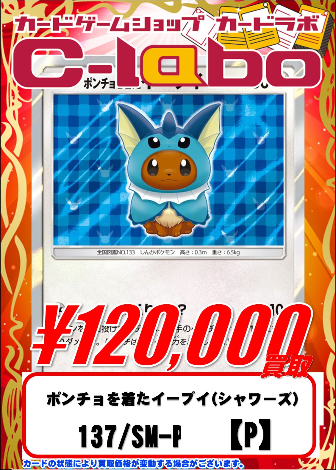 ポンチョを着たイーブイ（グレイシア） PROMO ポンチョを着たイーブイ