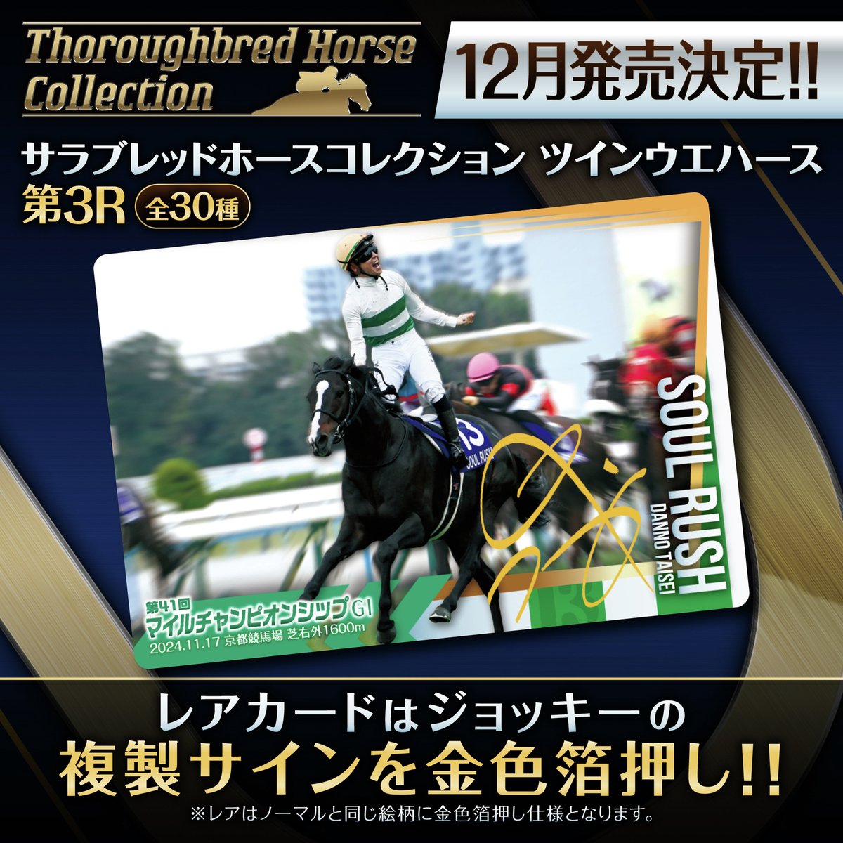 12月発売決定／ ご好評により #サラブレッドホースコレクション の第3