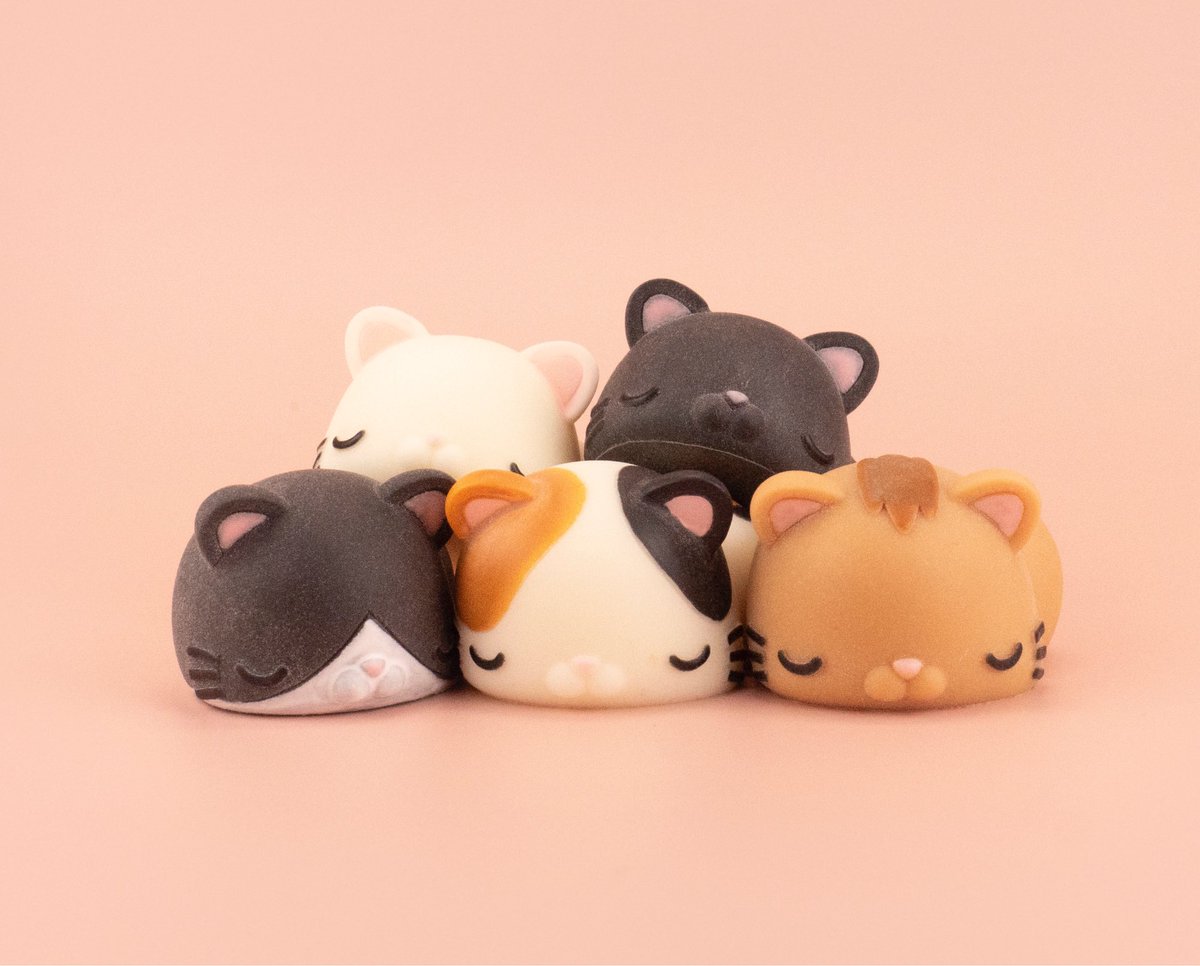 もにまるず ® (@monimonimals) / Posts / X