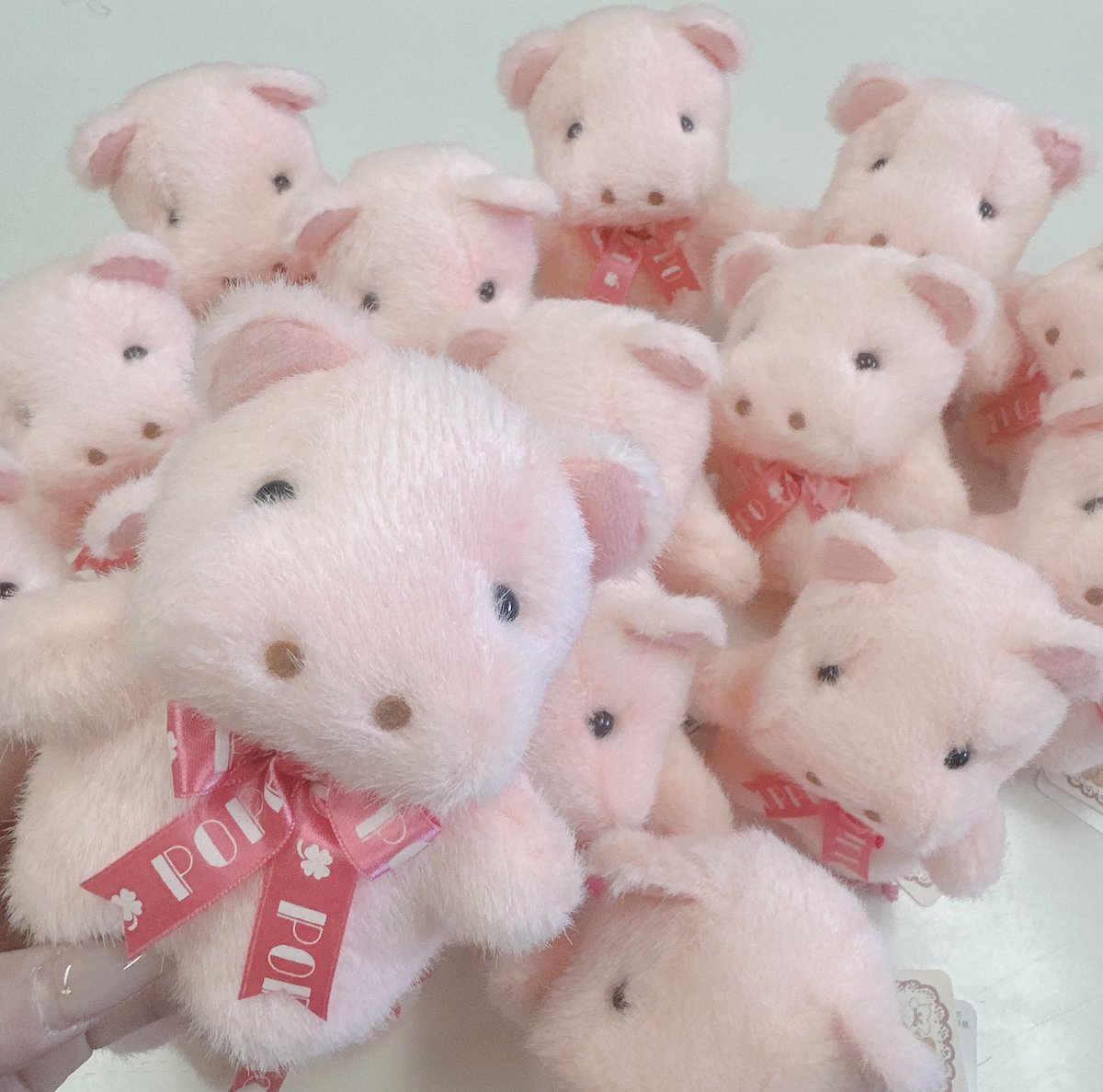 5月10日まであと少し.!!!🦛♡