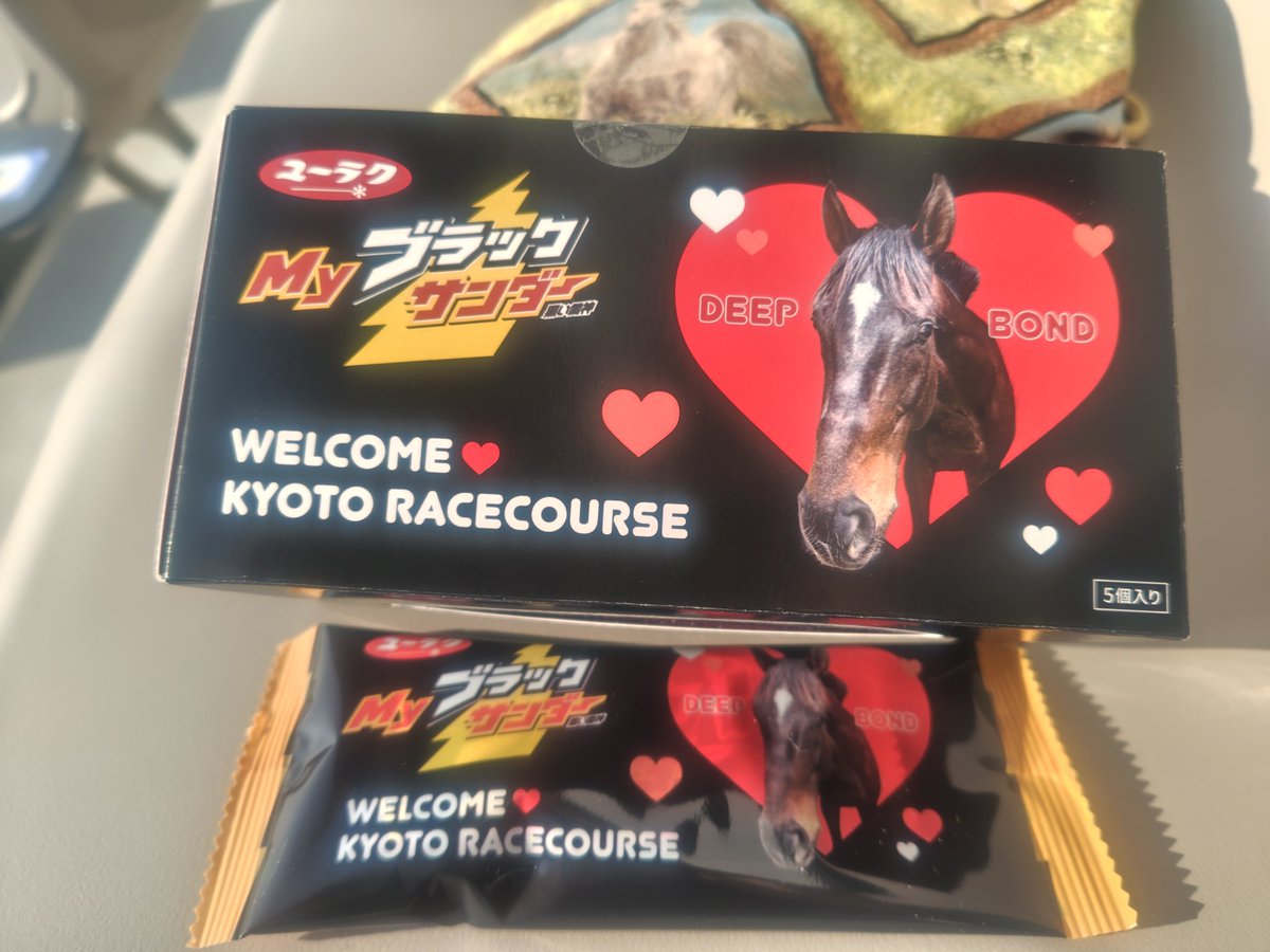 普段当たらないウェルカムチャンス プボさんブラックサンダーが当たっ