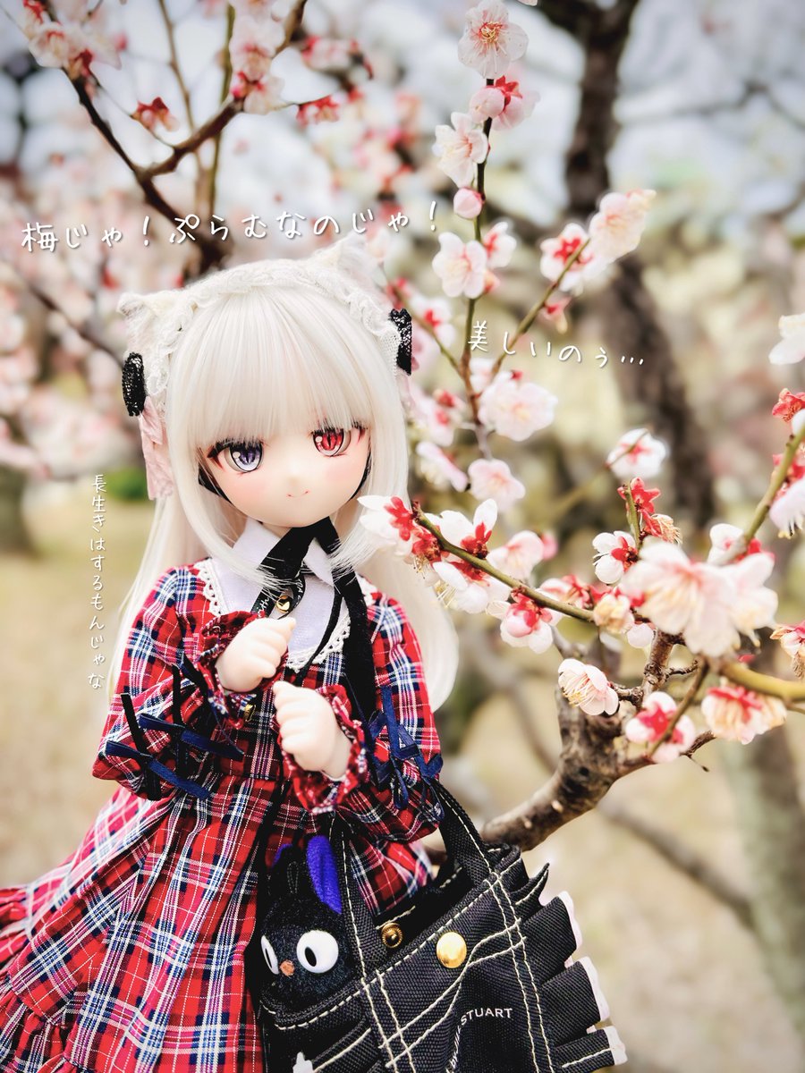 ななみじゅんこ🎀 (@ronronshuka) / Highlights / X