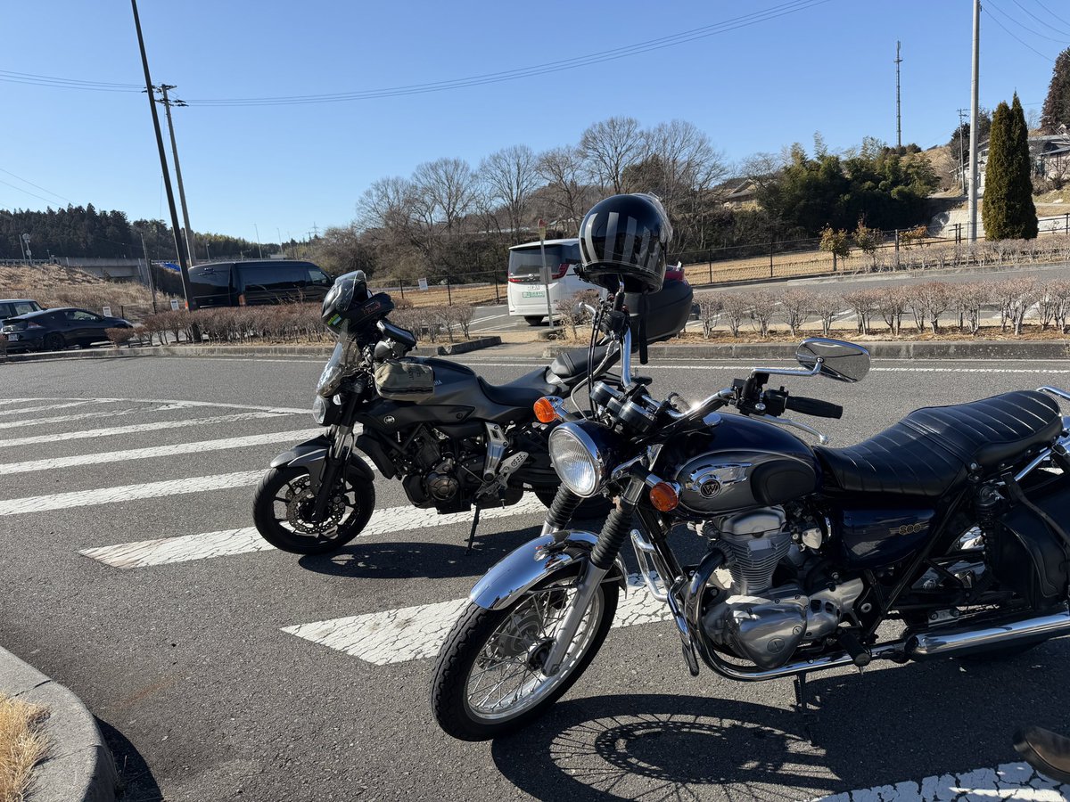 2026年。 やっとBobby始まりました。