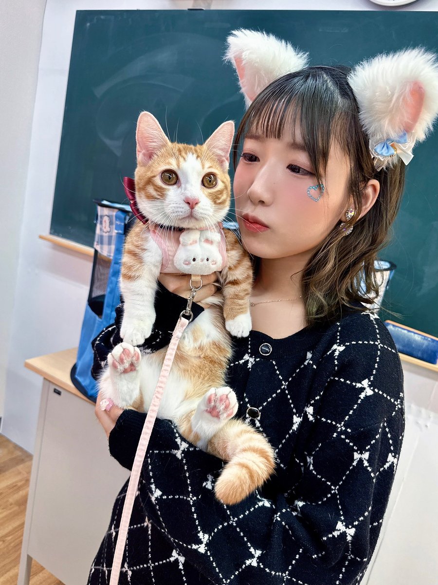 🐱🐾 #猫の日