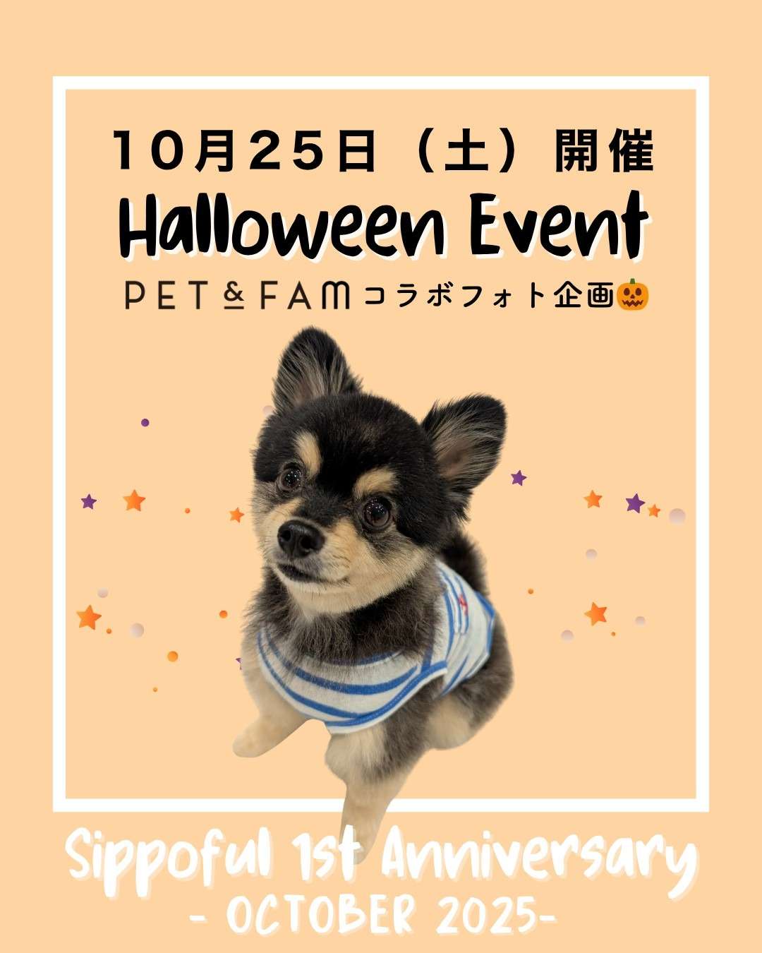 2025年10月25日（土）開催！わんちゃんの保育園「Shippoful(しっぽふる