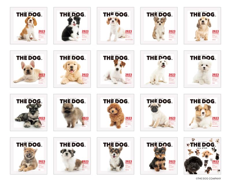 ロングセラーの犬種別カレンダー「THE DOG」2023年版の予約スタート