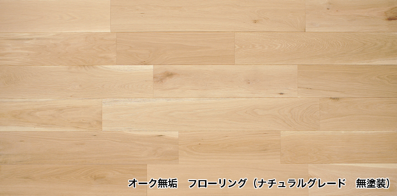 サンプル請求 送料無料 | ショッピング | 株式会社アットパーシモン