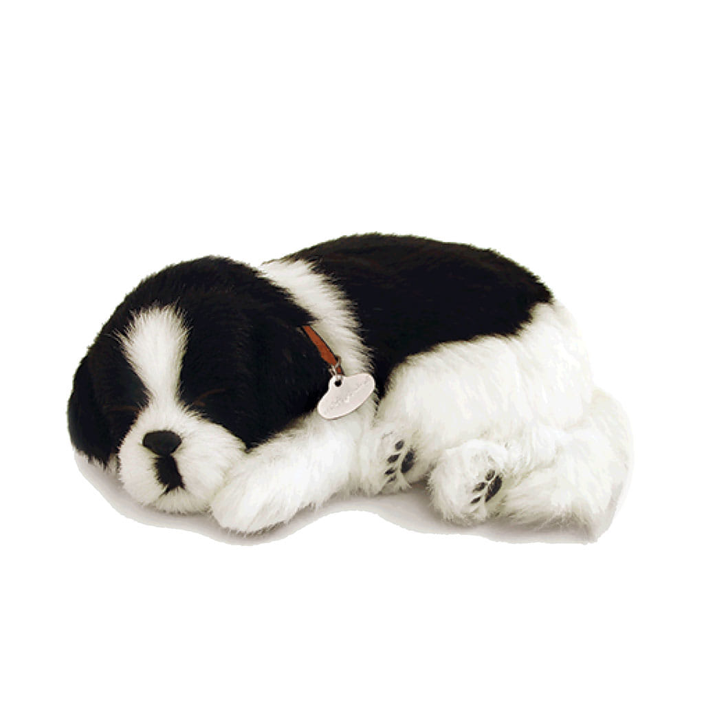Original Border Collie Perfect Petzzz - Perfect Petzzz