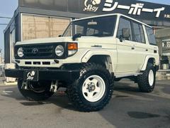 ランドクルーザー70 zxの中古車一覧(1～30件)【グーネット】