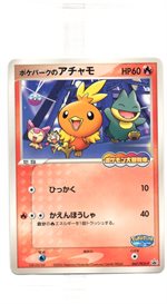 043/PCG-P ポケパークのピカチュウ： ポケパーク アトラクション限定