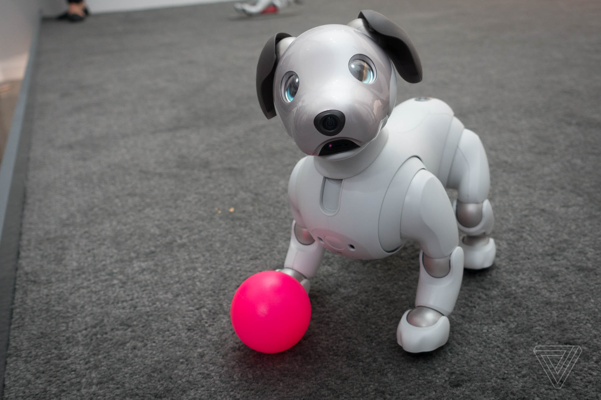 Sony's robot dog Aibo is headed to the US for a cool $2,899 | The