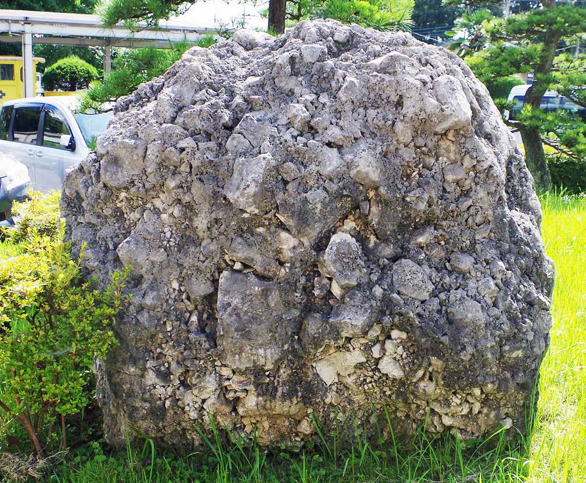 石灰質角礫岩(calcareous breccia) - 岩石鉱物詳解図鑑planetscope