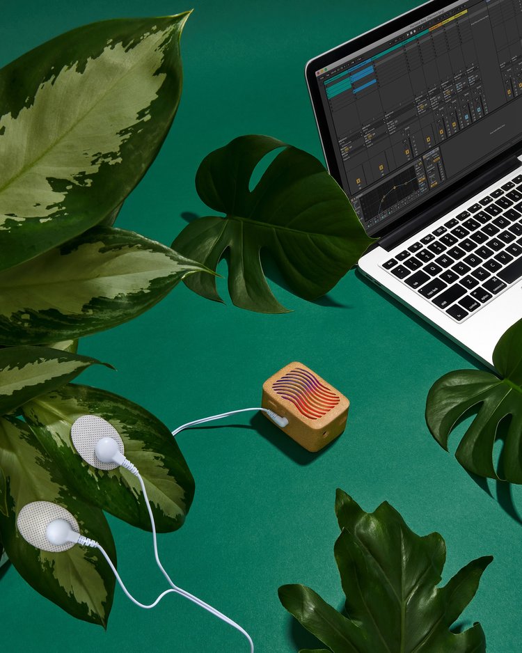 Buy the Original PlantWave Device | PlantWave